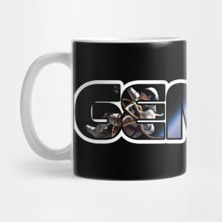 Gemini Mug